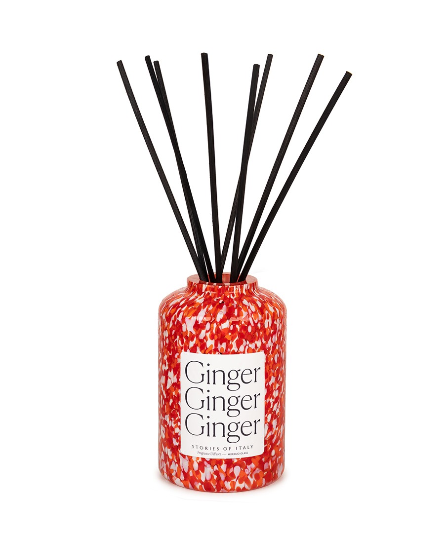 GINGER DIFFUSER VESSEL